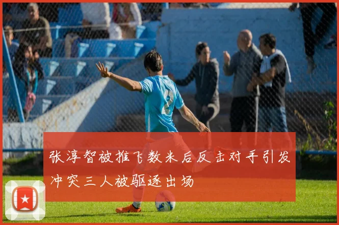 张淳智被推飞数米后反击对手引发冲突三人被驱逐出场